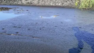 Mud man swimming